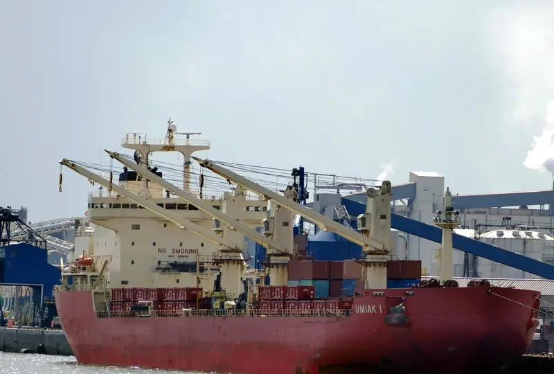 UMIAK I Bulk Carrier IMO 9334715 photo 2