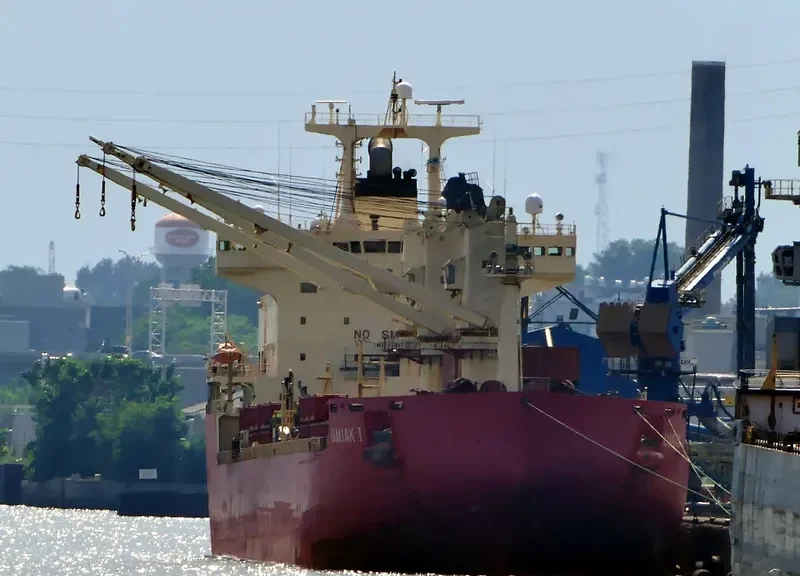 UMIAK I Bulk Carrier IMO 9334715 photo 3