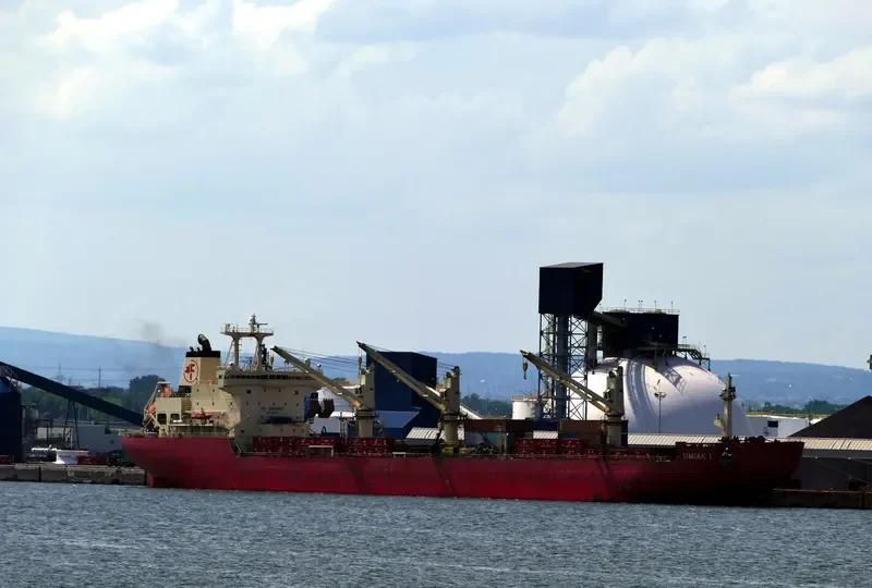 UMIAK I Bulk Carrier IMO 9334715 photo 4