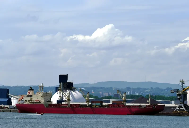 UMIAK I Bulk Carrier IMO 9334715 photo 5