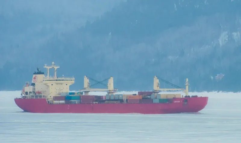 UMIAK I Bulk Carrier IMO 9334715 photo 7