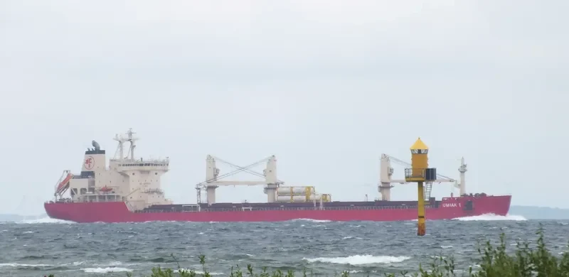 UMIAK I Bulk Carrier IMO 9334715 photo 8