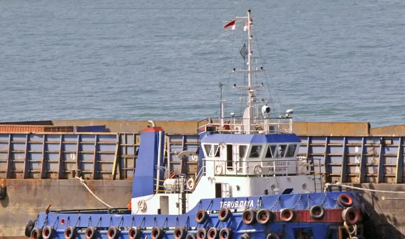 TERUS DAYA 11 General Cargo IMO 9334806 photo 2