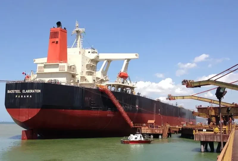 BAOSTEEL ELABORATION Bulk Carrier IMO 9334870 photo 2