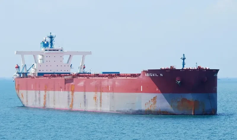 ABIGAIL N Bulk Carrier IMO 9334882 photo 2