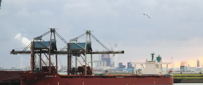 ABIGAIL N Bulk Carrier IMO 9334882 photo 4