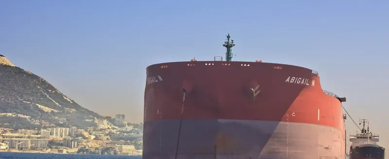 ABIGAIL N Bulk Carrier IMO 9334882 photo 7