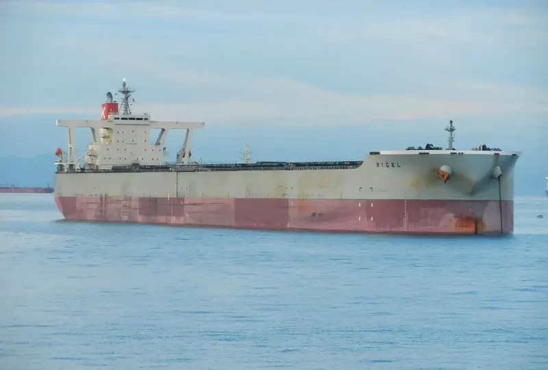 RIGEL Bulk Carrier IMO 9334894 photo 2