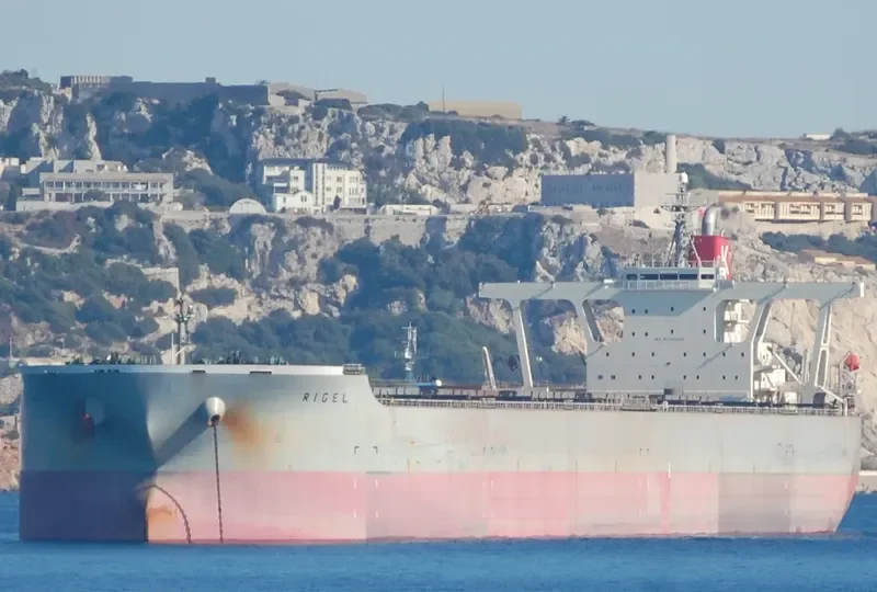 RIGEL Bulk Carrier IMO 9334894 photo 5