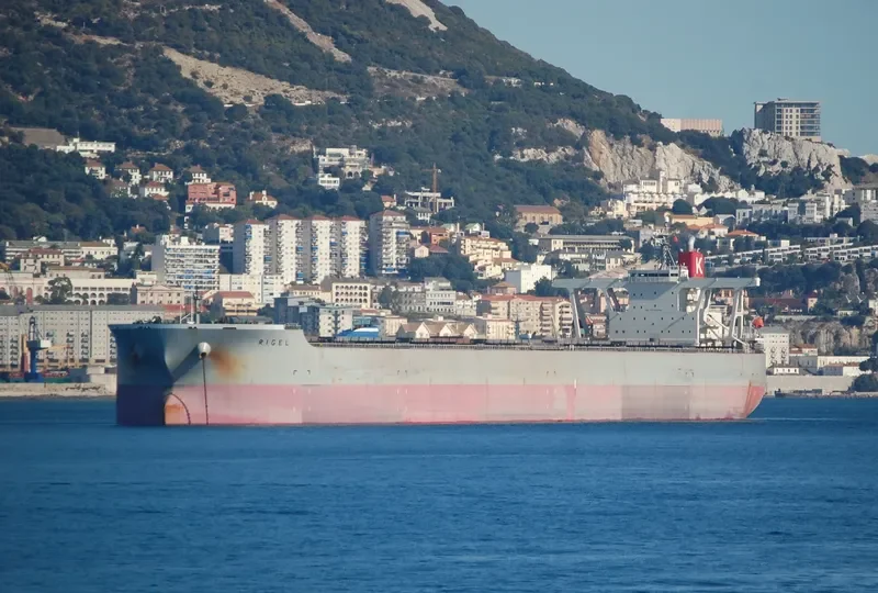 RIGEL Bulk Carrier IMO 9334894 photo 6