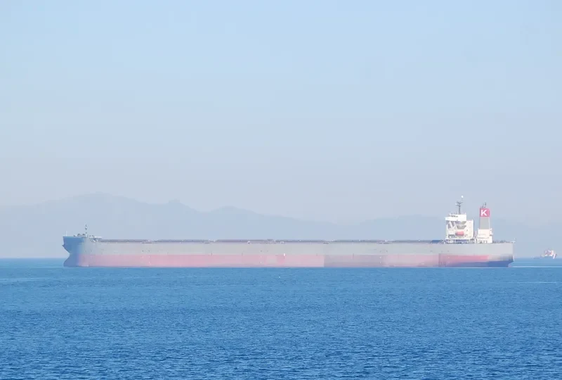 RIGEL Bulk Carrier IMO 9334894 photo 8