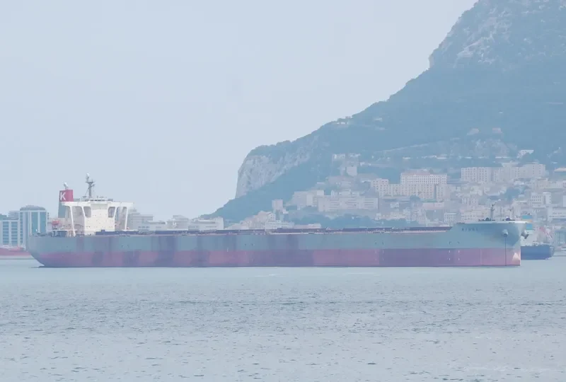 RIGEL Bulk Carrier IMO 9334894 photo 10
