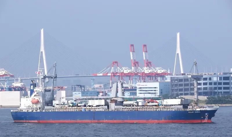 LUCKY CATHERINE General Cargo IMO 9334985 photo 3