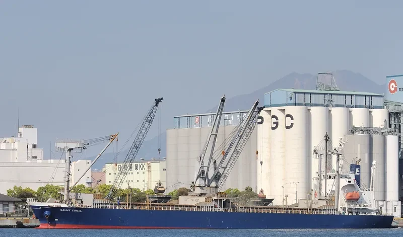 LUCKY CATHERINE General Cargo IMO 9334985 photo 5
