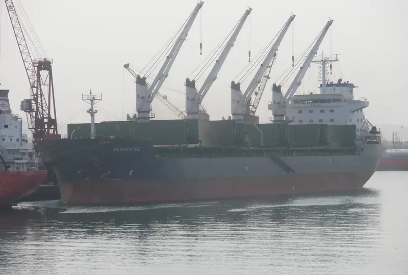 BELFORT Bulk Carrier IMO 9335020 photo 4