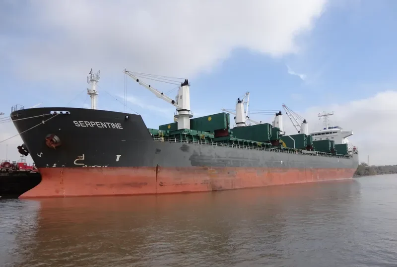 BELFORT Bulk Carrier IMO 9335020 photo 5