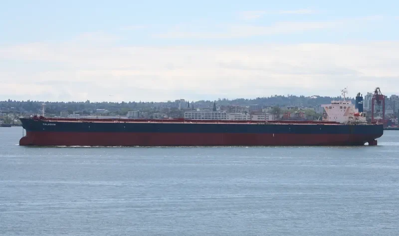 WINNING KINDNESS Bulk Carrier IMO 9335240