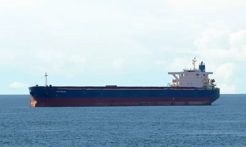 WINNING KINDNESS Bulk Carrier IMO 9335240 photo 2
