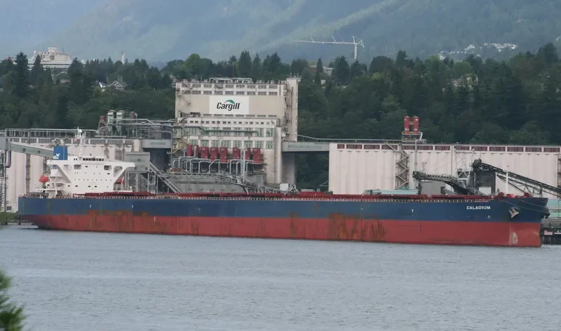 WINNING KINDNESS Bulk Carrier IMO 9335240 photo 3