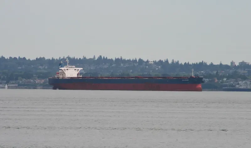 WINNING KINDNESS Bulk Carrier IMO 9335240 photo 5