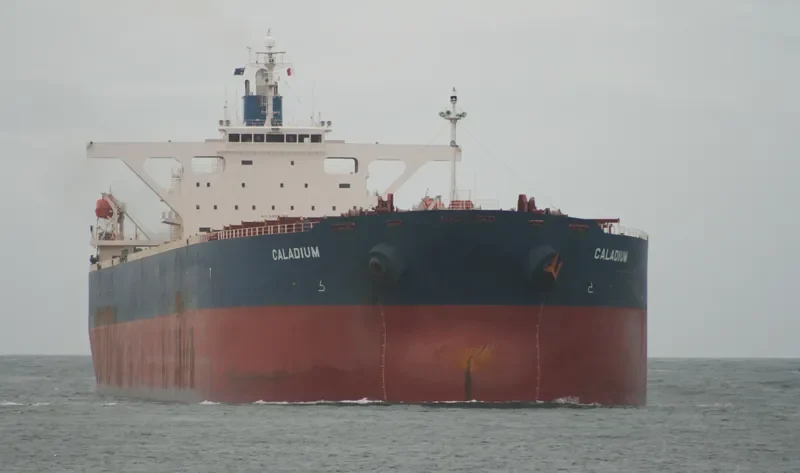 WINNING KINDNESS Bulk Carrier IMO 9335240 photo 6