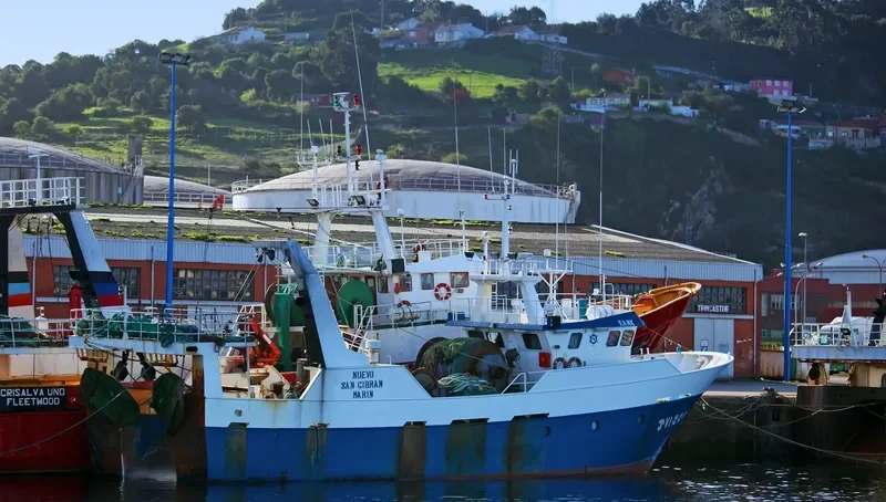 NUEVO SAN CIBRAN General Cargo IMO 9335252 photo 7