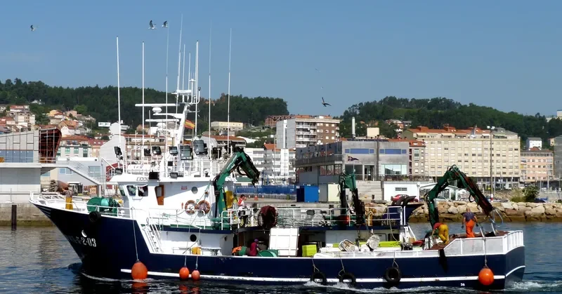 SEMPRE GALAICO General Cargo IMO 9335288