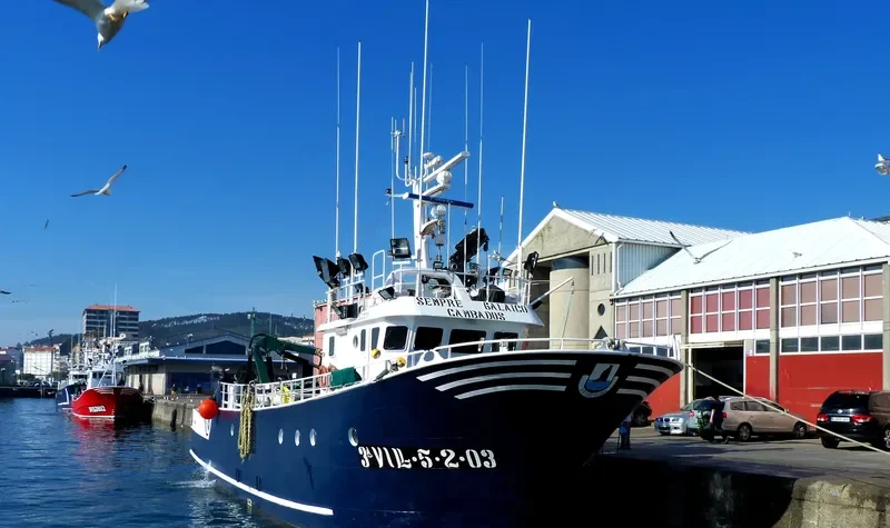 SEMPRE GALAICO General Cargo IMO 9335288 photo 5