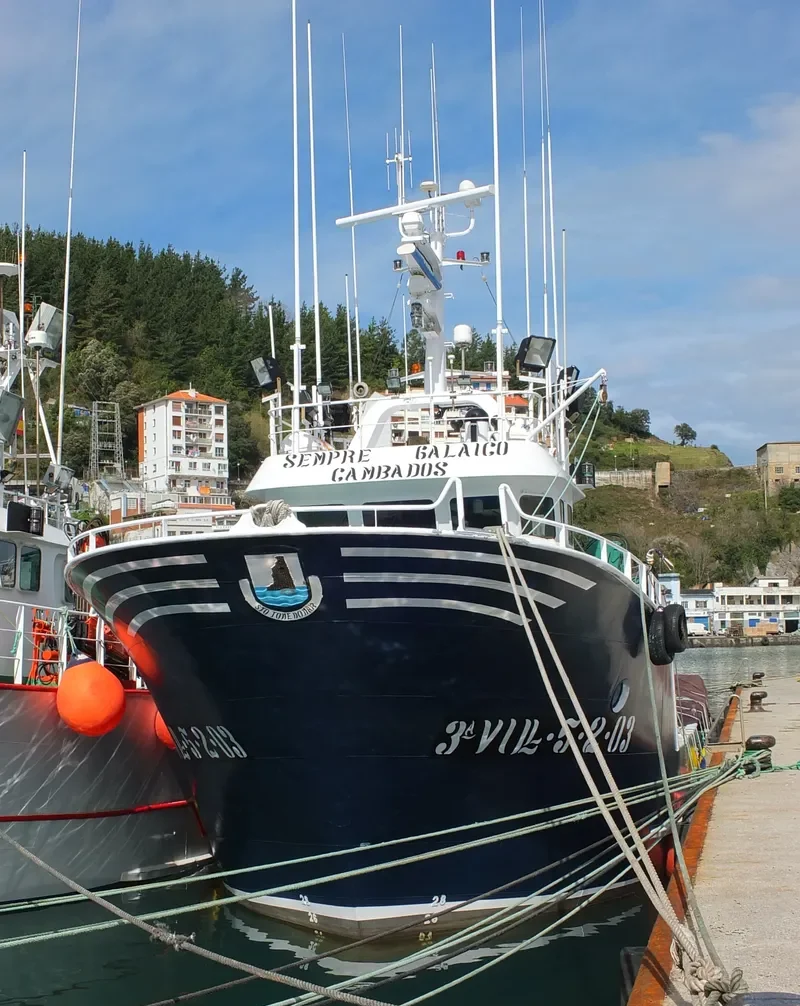 SEMPRE GALAICO General Cargo IMO 9335288 photo 8