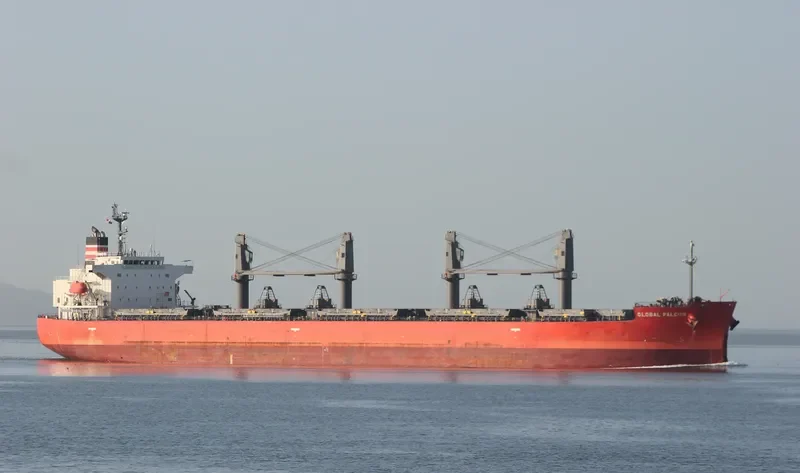 VISSAI VCT 02 Bulk Carrier IMO 9335434 photo 2