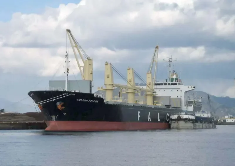 VISSAI VCT 02 Bulk Carrier IMO 9335434 photo 3