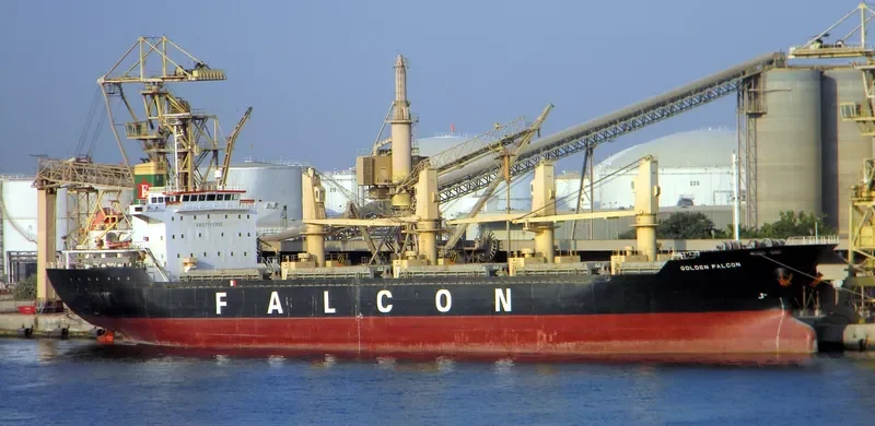 VISSAI VCT 02 Bulk Carrier IMO 9335434 photo 4