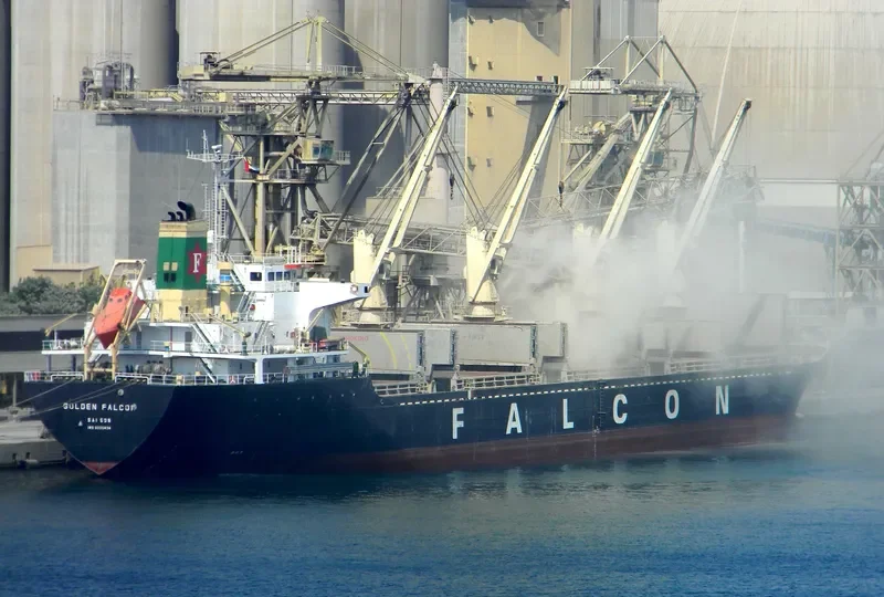 VISSAI VCT 02 Bulk Carrier IMO 9335434 photo 5