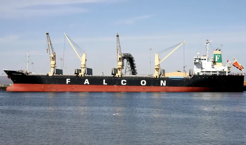 VISSAI VCT 02 Bulk Carrier IMO 9335434 photo 6