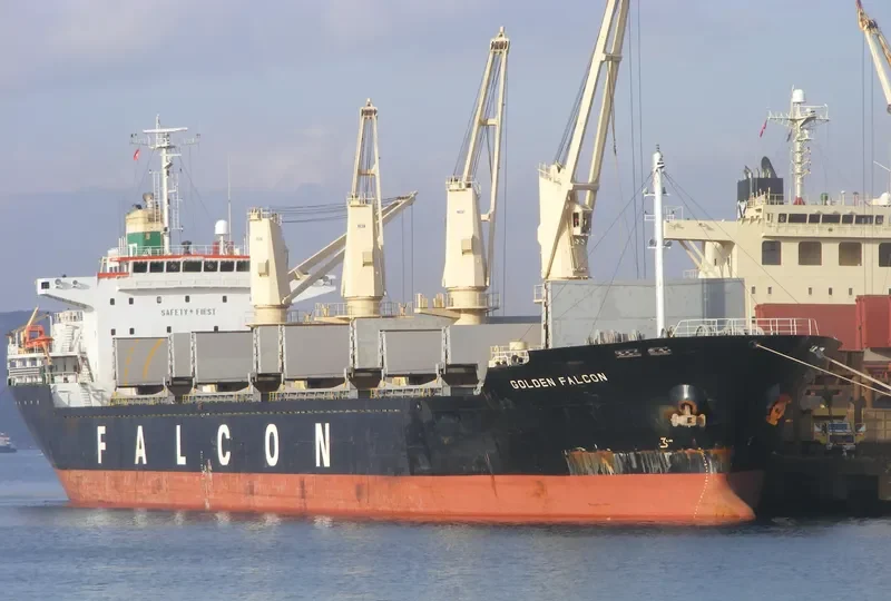 VISSAI VCT 02 Bulk Carrier IMO 9335434 photo 7