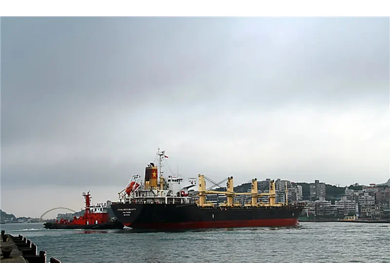 VINALINES MIGHTY Bulk Carrier IMO 9335458