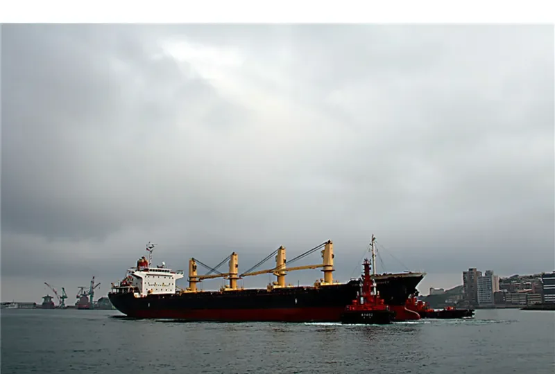 VINALINES MIGHTY Bulk Carrier IMO 9335458 photo 2