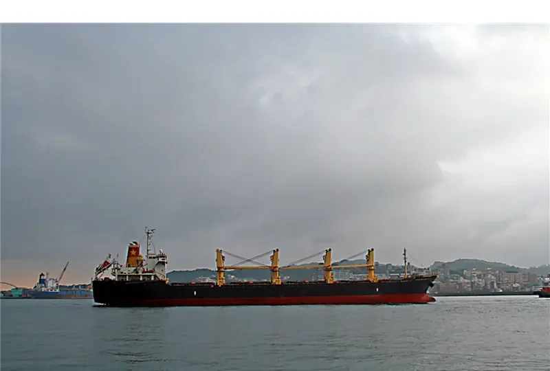 VINALINES MIGHTY Bulk Carrier IMO 9335458 photo 3