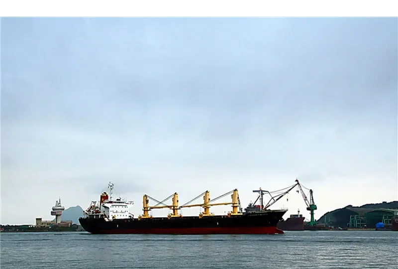 VINALINES MIGHTY Bulk Carrier IMO 9335458 photo 4