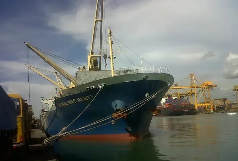 VINALINES MIGHTY Bulk Carrier IMO 9335458 photo 7