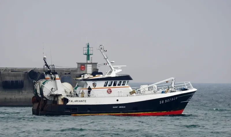 TALARIANTE General Cargo IMO 9335654