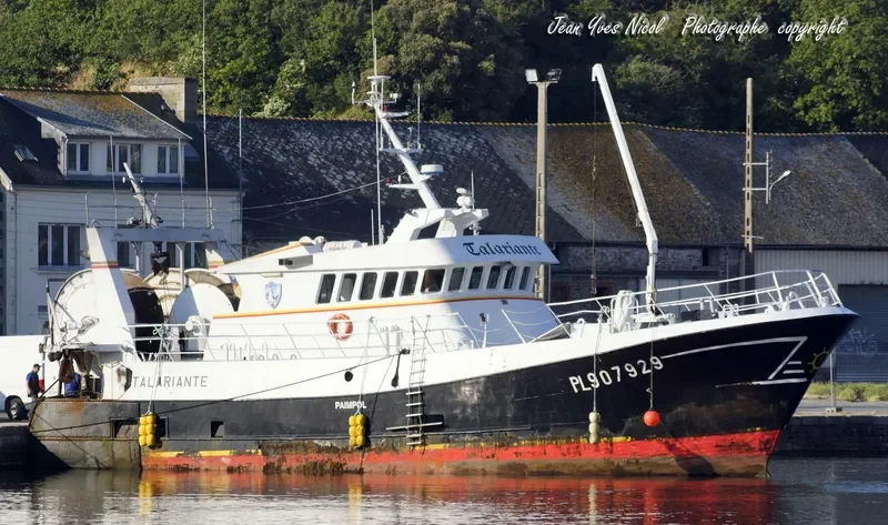 TALARIANTE General Cargo IMO 9335654 photo 4