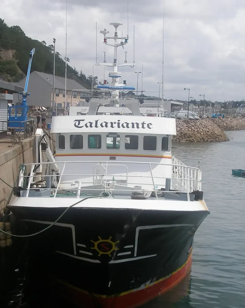 TALARIANTE General Cargo IMO 9335654 photo 7