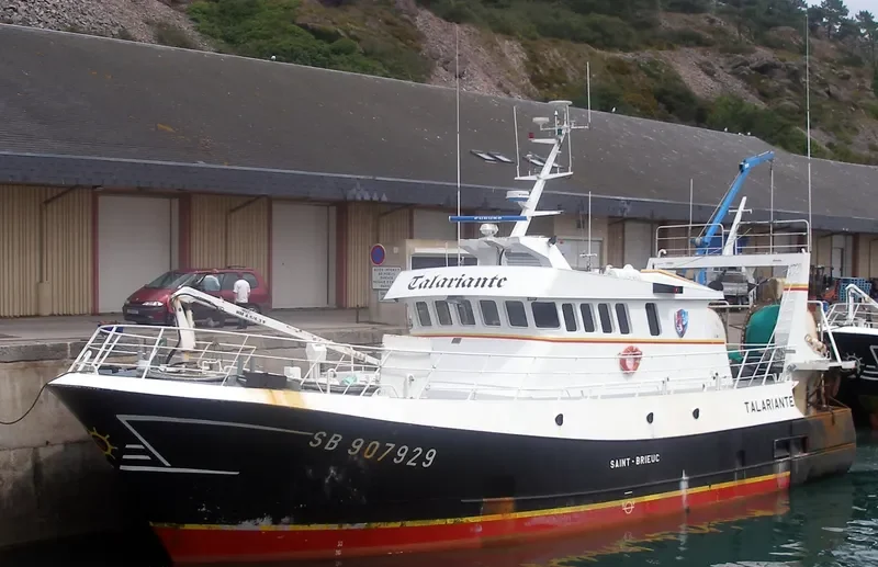 TALARIANTE General Cargo IMO 9335654 photo 10