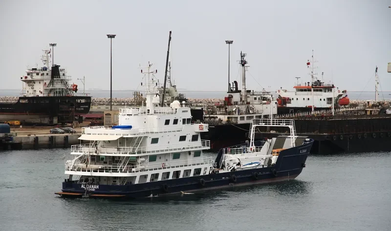 AL DANAH General Cargo IMO 9335666 photo 2