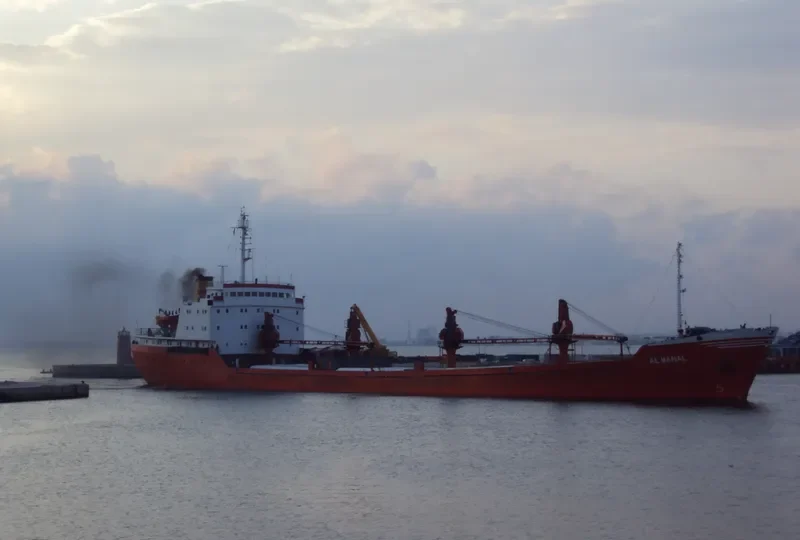 AL DANAH General Cargo IMO 9335666 photo 4