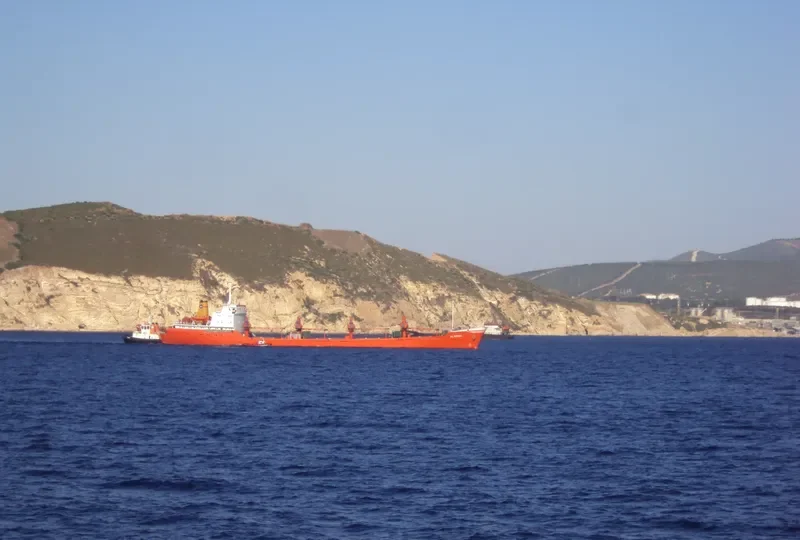 AL DANAH General Cargo IMO 9335666 photo 5