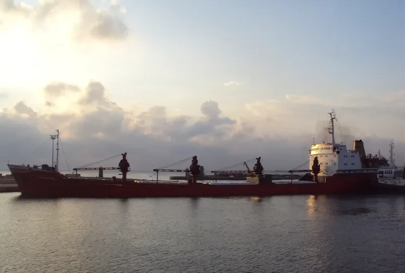 AL DANAH General Cargo IMO 9335666 photo 6