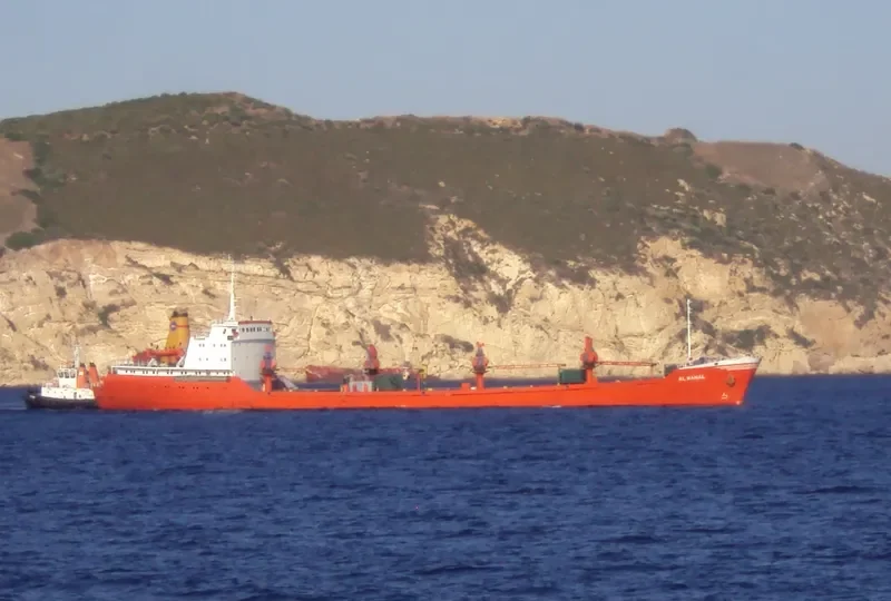 AL DANAH General Cargo IMO 9335666 photo 8