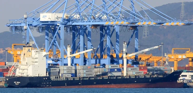 AS SERENA Container Ship IMO 9335812 photo 2